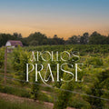 Unwined After Hours: 9/16/26 - Kelby from Apollo's Praise Wines