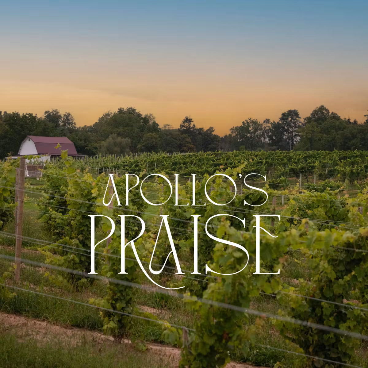 Unwined After Hours: 9/16/26 - Kelby from Apollo's Praise Wines