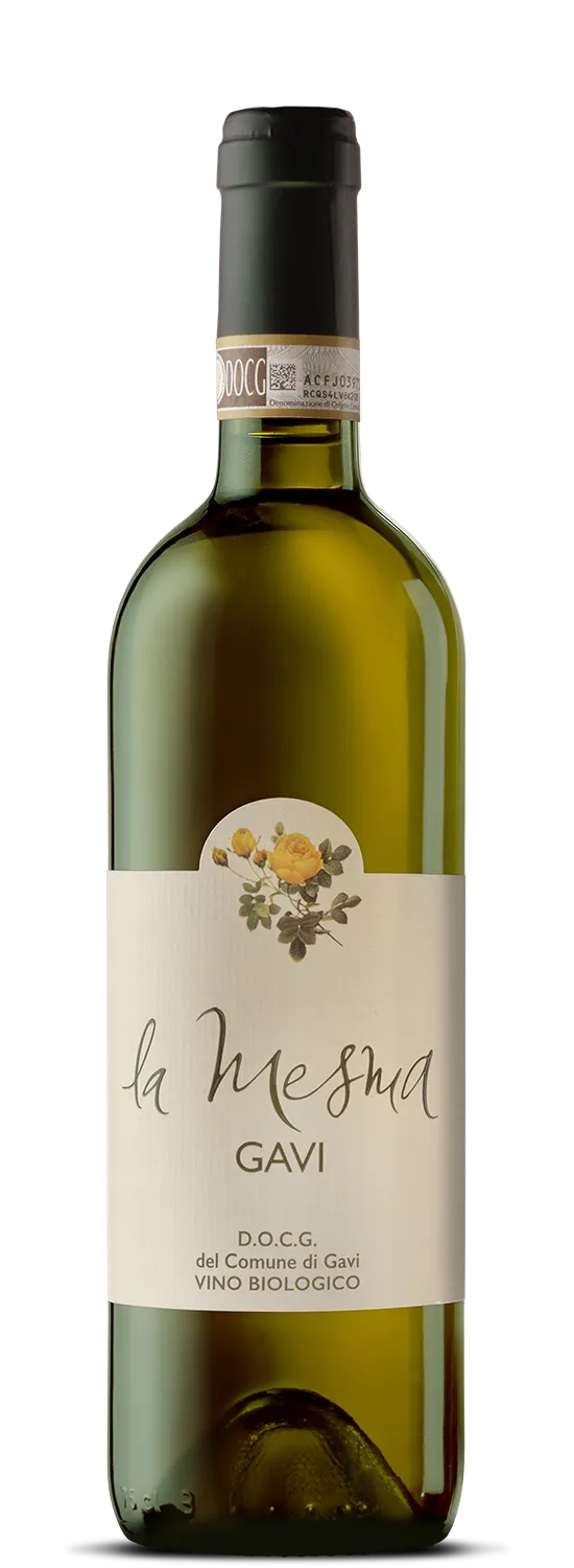 La Mesma Gavi 2024 (Yellow Label) (BV 4-4)