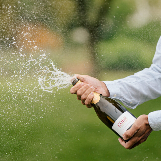 Revel Wine Class: Champagne with Margaret & Brian 12/1/25