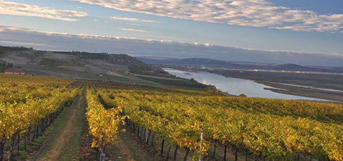 Revel Wine Class: L’Ecole Nº 41 with Matt Carroll 11/17/25