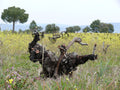 Revel Wine Class: Garnacha with Brian Acton 11/3